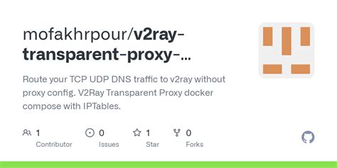 TCP/UDP Transparent proxy; Shadowsocks Protocol (TCP/UDP); SNI Proxy . . V2ray transparent proxy github
